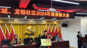 盛世新天地物業(yè)榮獲2024年社區(qū)表彰大會(huì)獎(jiǎng)項(xiàng)